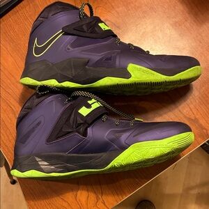 Nike LeBron Zoom Sneakers